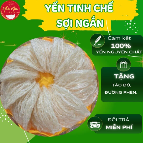 Yến Tinh Chế Sợi Ngắn